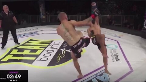 20 Most Brutal Head Kick Knockouts Ever in MMA - MMA Fighter