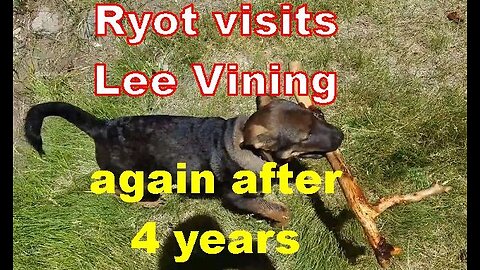 Ryot - Lee Vining 4 Years Later