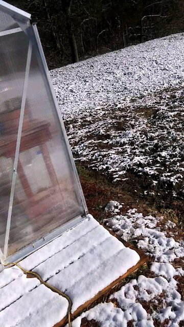 Cold Morning greenhouse visit