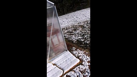 Cold Morning greenhouse visit