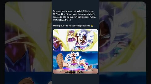Tatsuya Nagamine, qui a dirigé l'épisode 1071 de One Piece,