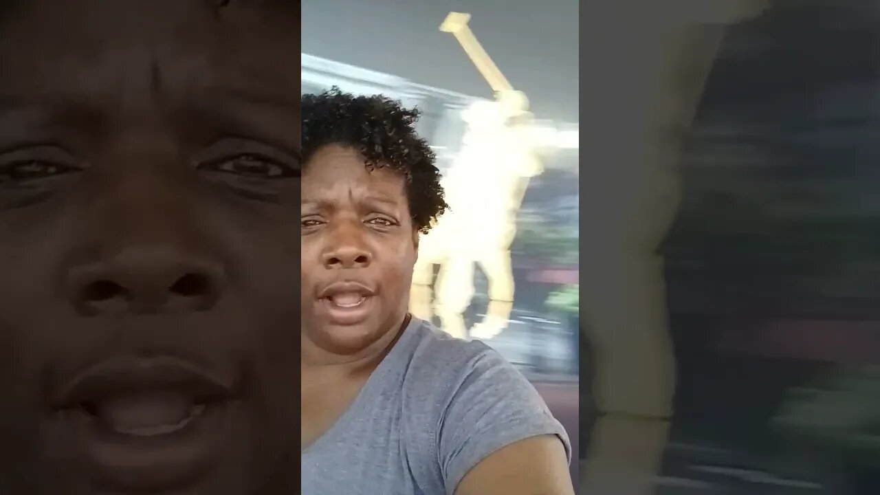 Good Morning. Polo and Brunch