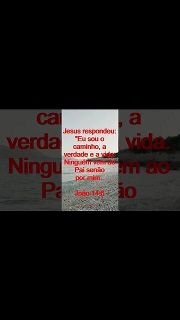 Verso Do Dia | Leitura Inspiradora Para Começar Seu Dia. | 88