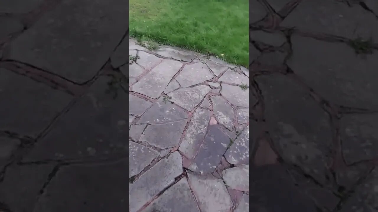 little slipper mouth you are my entertainment