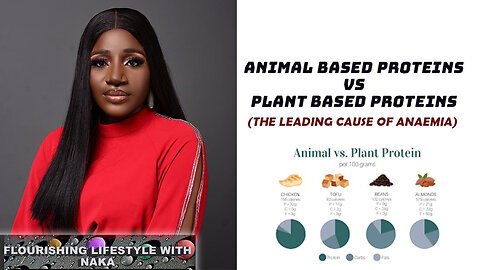 PLANT BASED VS ANIMAL BASED PROTEIN