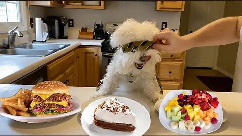 Blindfolded Dog Smell Challenge!
