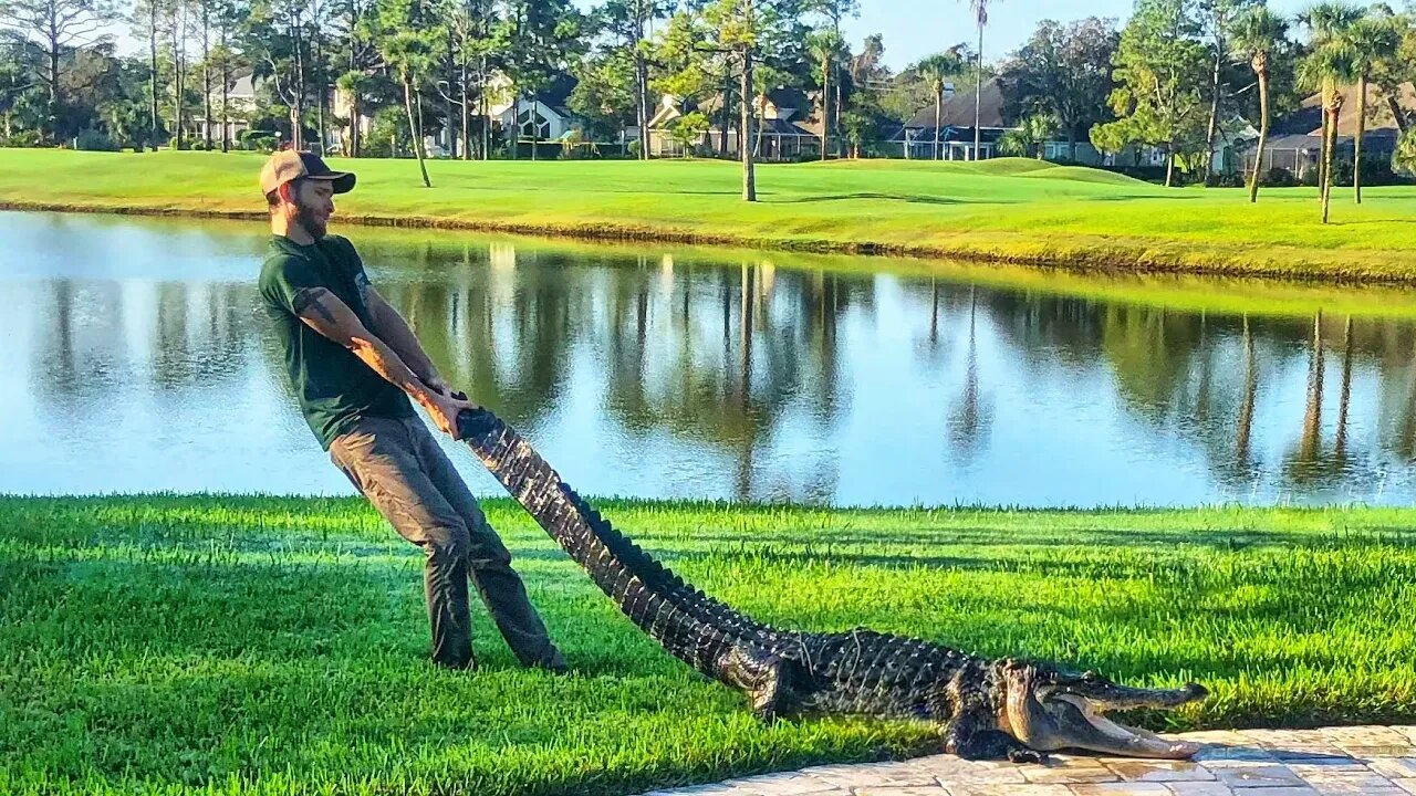 A Day In The Life of a Florida Animal Trapper