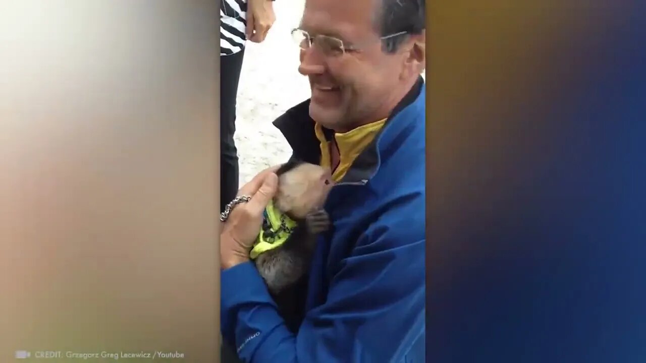 Animals Reunited With Owners After Years