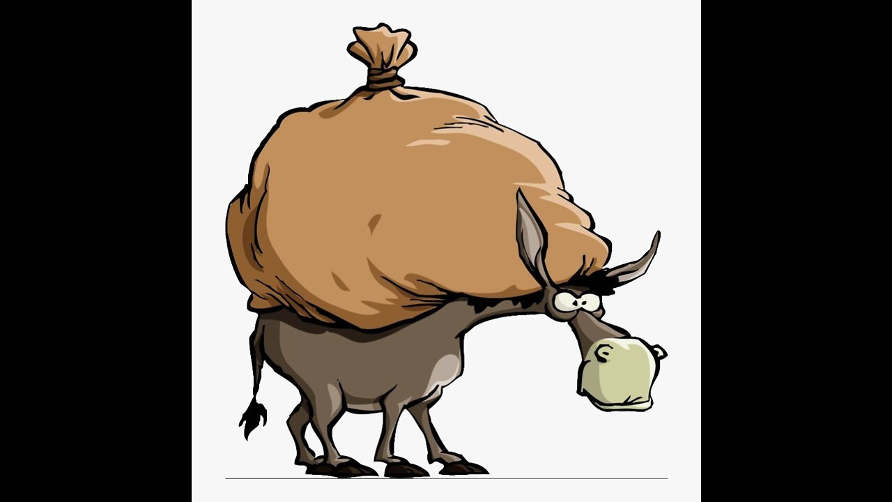 NO MULES WERE HARMED DURING FILMING....