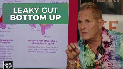 LEAKY GUT FROM THE BOTTOM UP