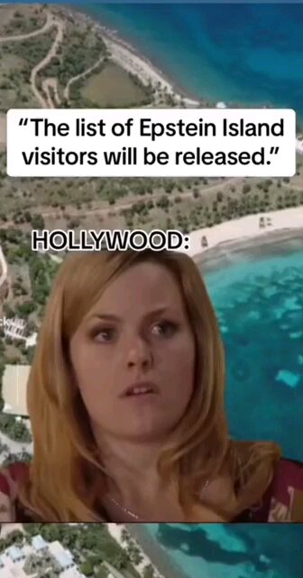 Epstien Flight logs released