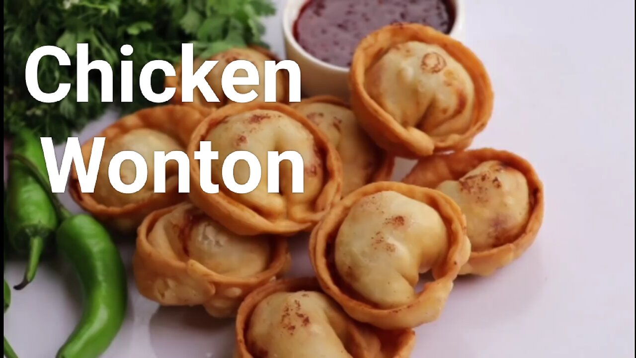 Chicken Wonton Special