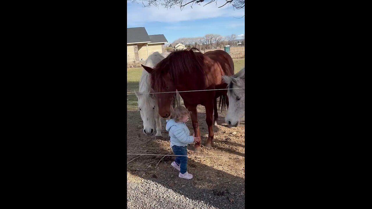 baby girl loves her animals so much