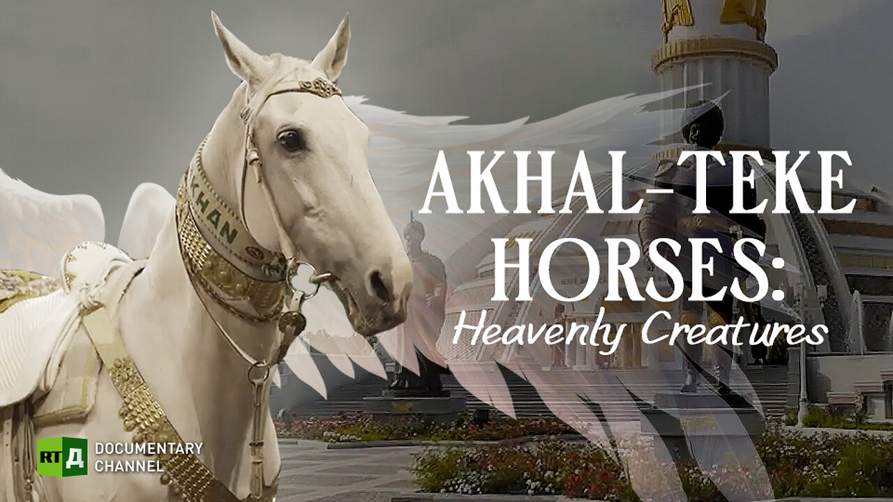 Akhal-Teke Horses: Heavenly Creatures | RT Documentary