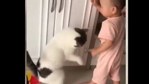 funny pet friendly baby | animal or man family join subscribe|#shorts