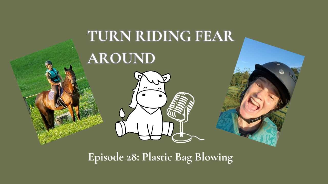 Episode 28: Plastic Bag Blowing