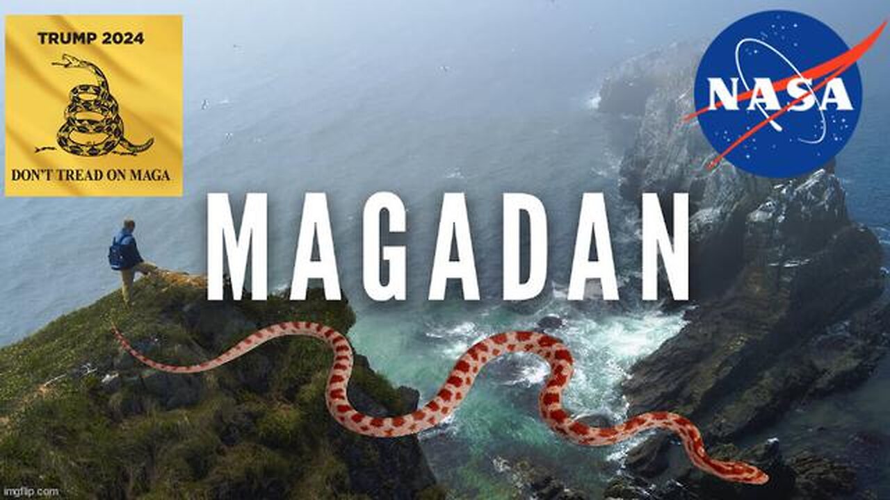 MAGADAN -The Tribe Of Dan - Don't Trust A Snake!