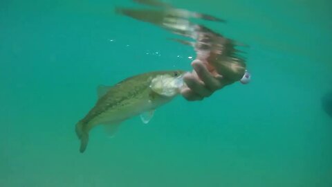 tiny bass hits the big rattletrap