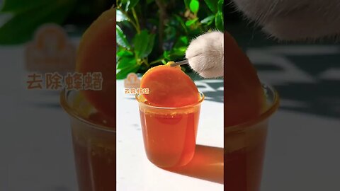 Funny Cat Juice 🥤😹 #reels #cat #cats #funny #funnyvideo #shortvideo #shortsfeed #viral #comedy