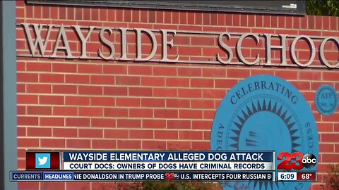 Wayside Elementary dog attack claim update