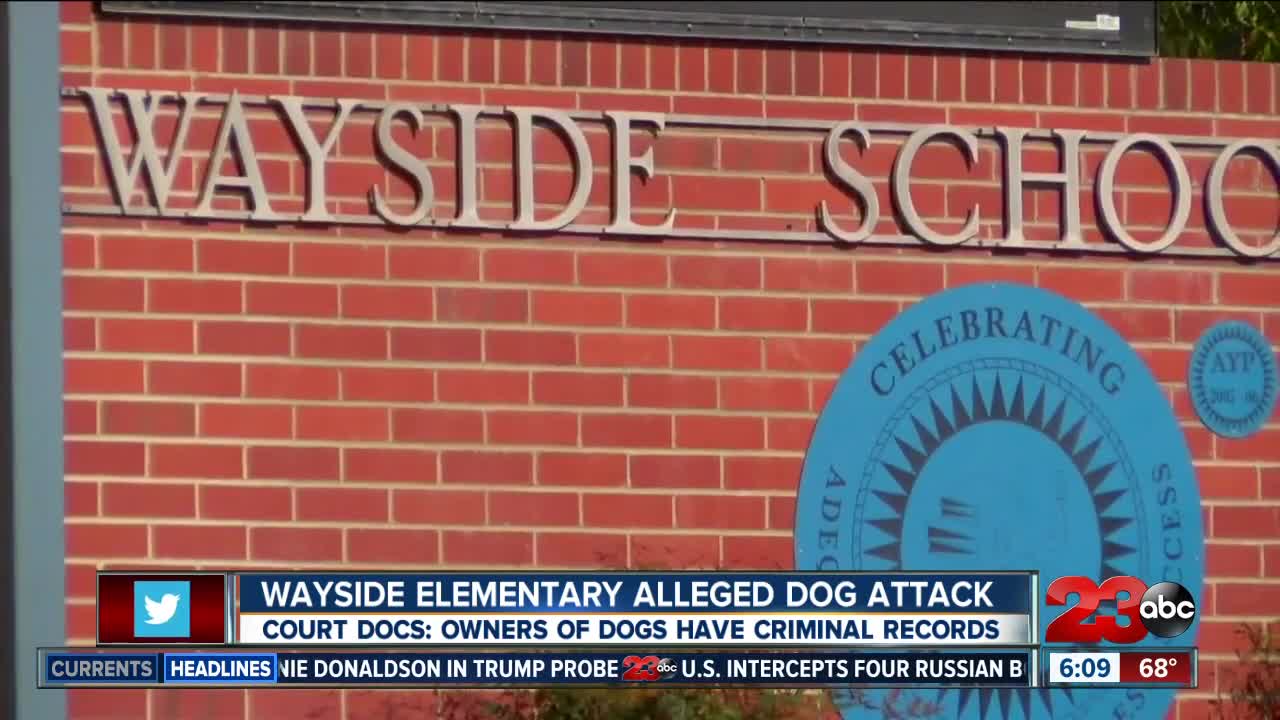 Wayside Elementary dog attack claim update