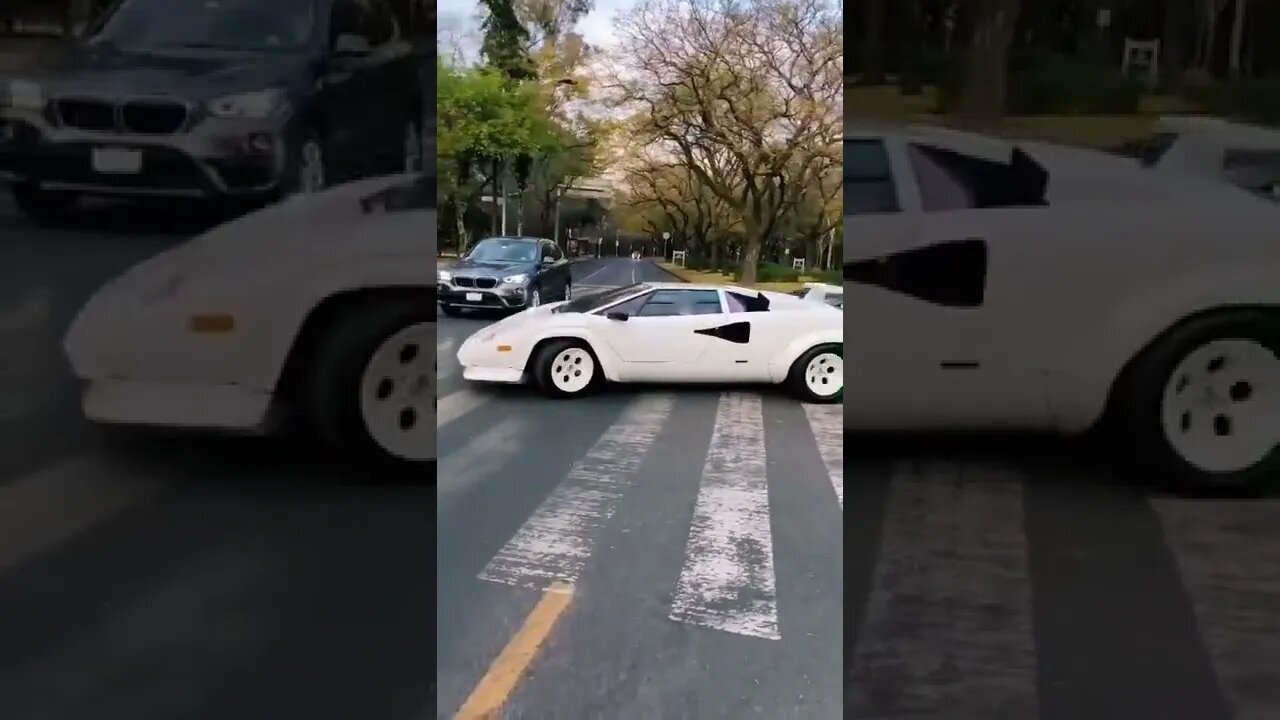 Lamborghini Countach #lamborghini #shorts #cars #catokvideo #cleancar #cartokvideo #supercars #funny