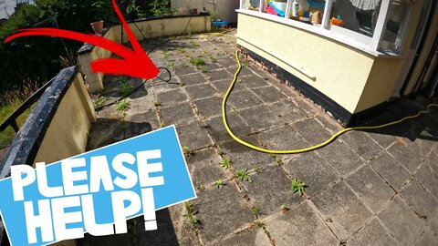 He Tried To Tackle This WEED INFESTED Patio But FAILED!