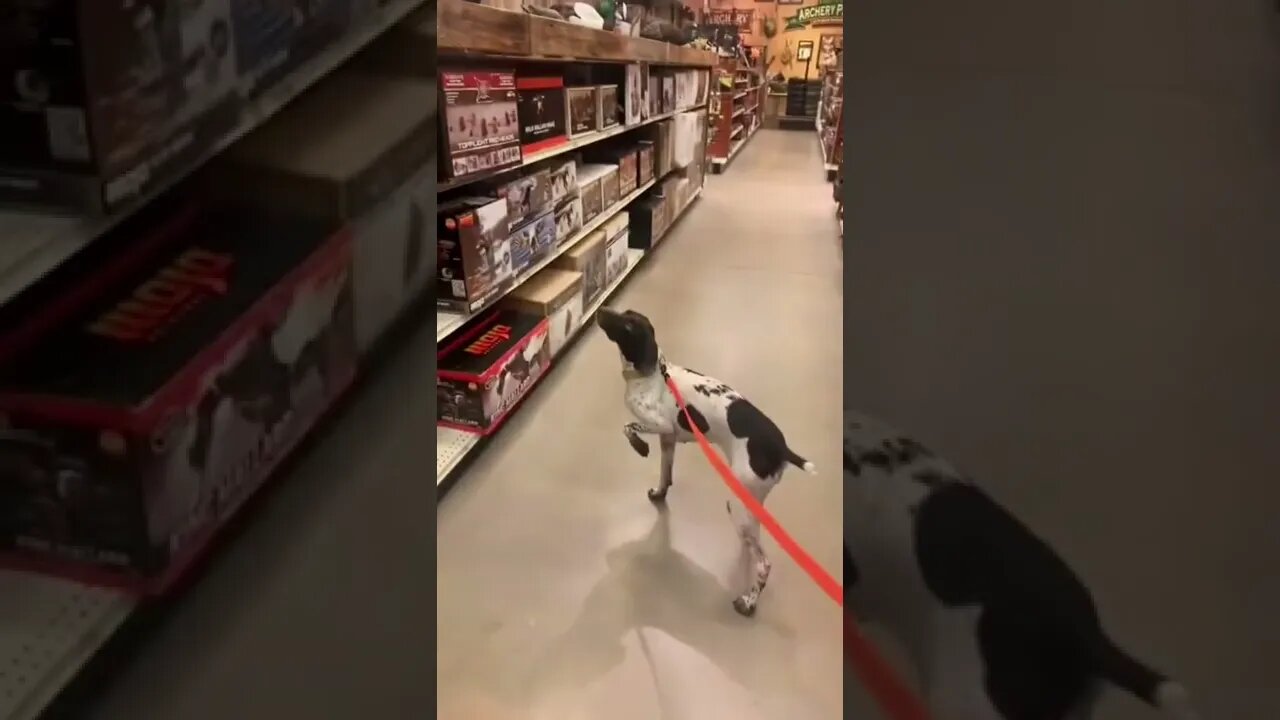 Killer instinct!!! lol