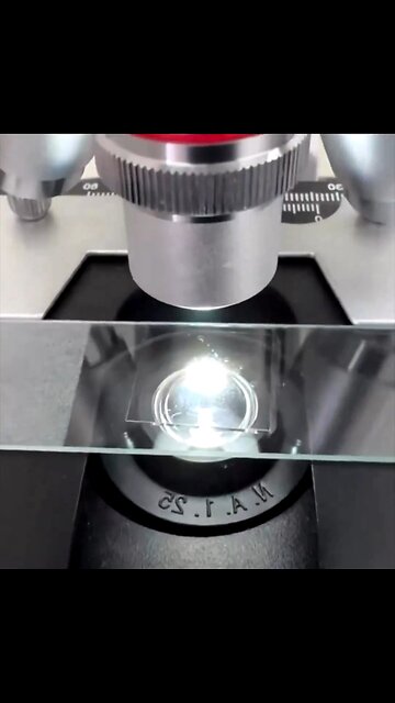 The Government doesn't want you to know what is in UNFILTERED TAP WATER ⚠️