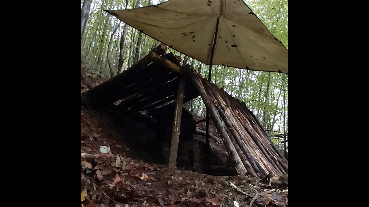 Bushcraft camping and build primitive shelter in the wild