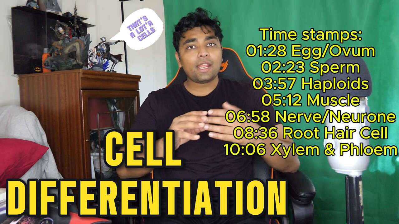 SPECIALISED CELLS Best Lesson Ever! #gcse #cells #cellbiology #mrroshan