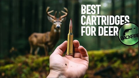 Best Cartridges and Calibers for Deer Hunting