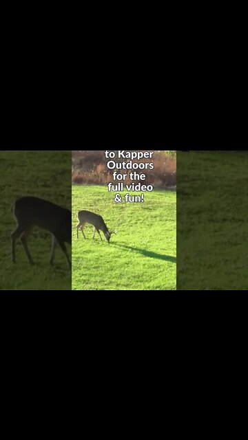 Big Illinois buck Self filmed archery shot! #shortsvideo