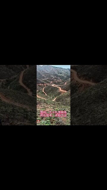 Large Areas of Forest have been Cleared to Make Way for "Turning Forest to Farmland" & Growing Rice