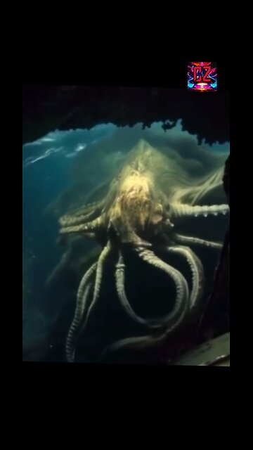 Real Kraken Caught On Video | Scary