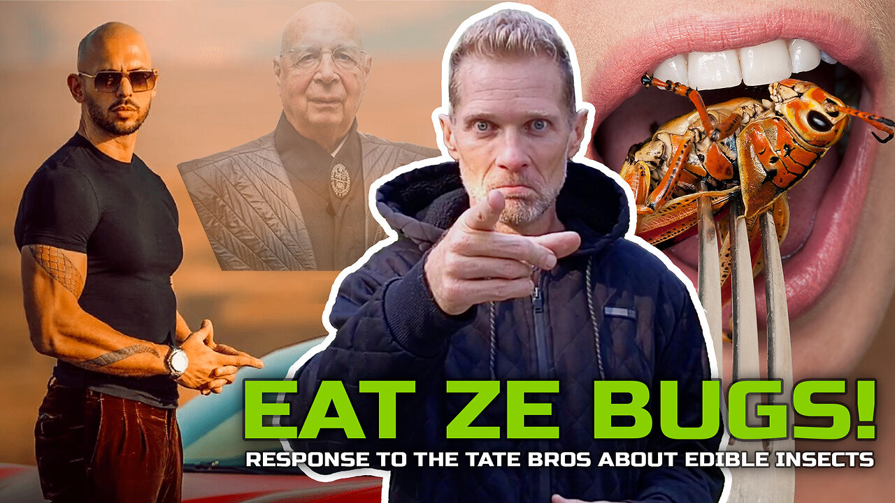 Response to the Tate Brothers About Eating Insects