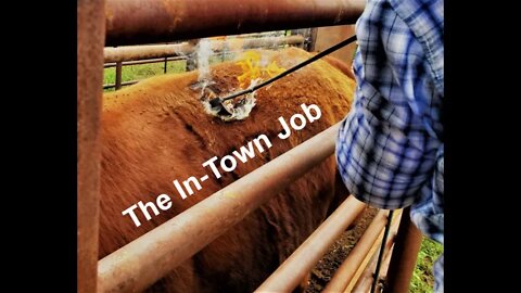 The Job in Town | Outside Work | Supporting the Ranch (In the Chute - Round 62)