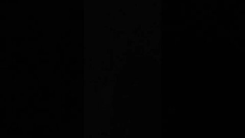 What's wrong with this cat? 🐾😿