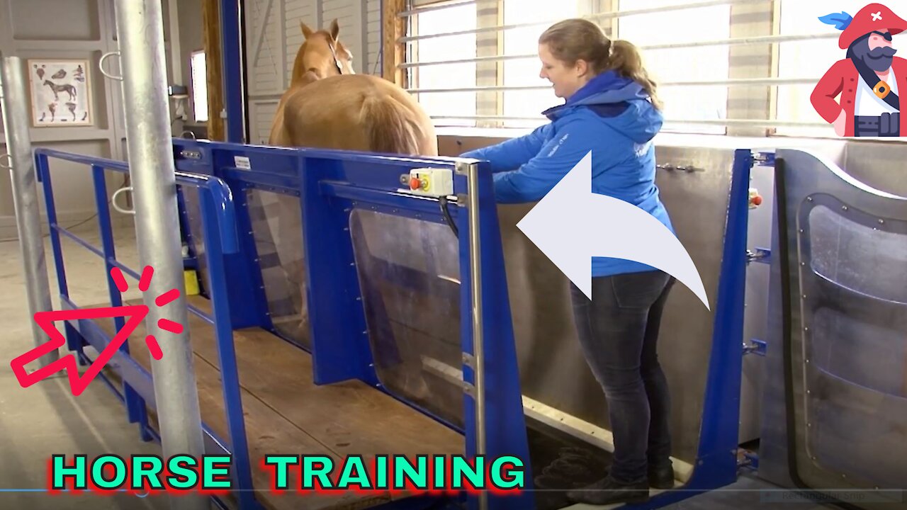 HOW DO THEY TRAIN HORSES TO RUN ON WATER ? AWESOME MACHINE!!!!!