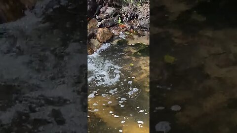 new chill spot on the creek!