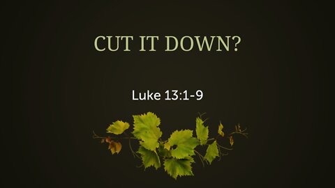 Cut it down?