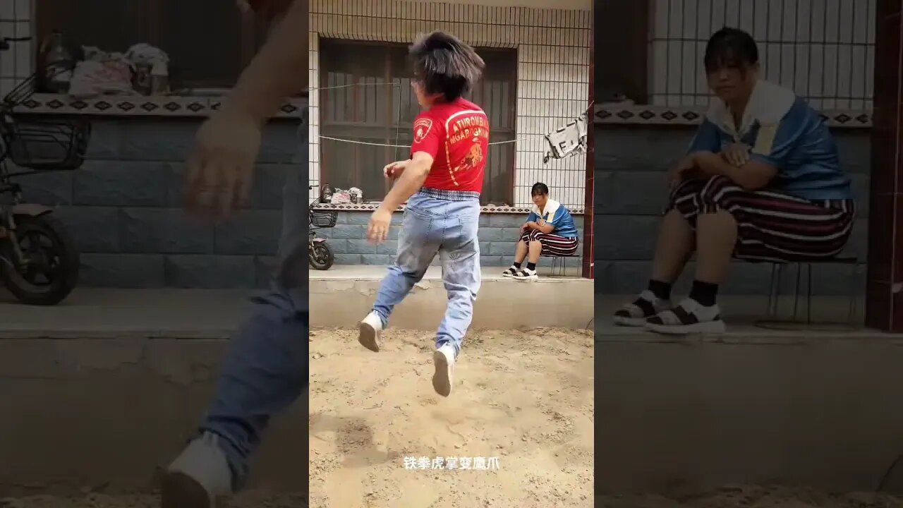中国功夫,飞身轻如燕/Chinese Kung Fu, flying light as a swallow