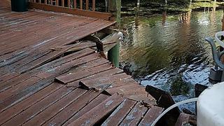 Boca Raton dock collapse sends 13 people into the water