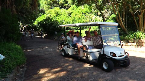 SOUTH AFRICA - Cape Town - Kirstenbosch National Botanical Garden (Video) (8xo)