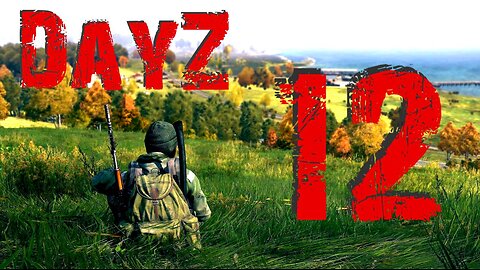 DayZ #12