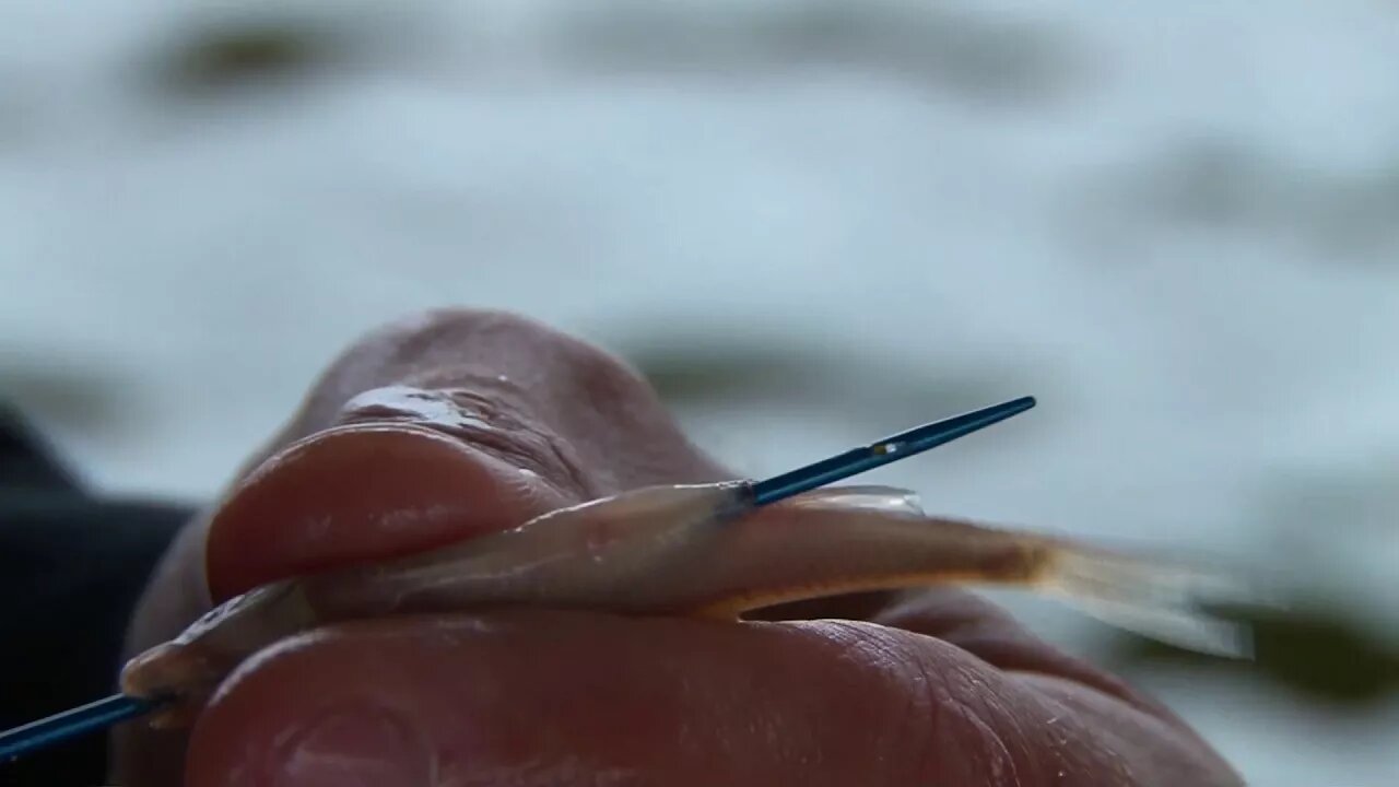 MidWest Outdoors TV Show #1679 - Tip of the Week on the Hook Line Threader