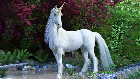 Legendary animals of the world - 3 - unicorn