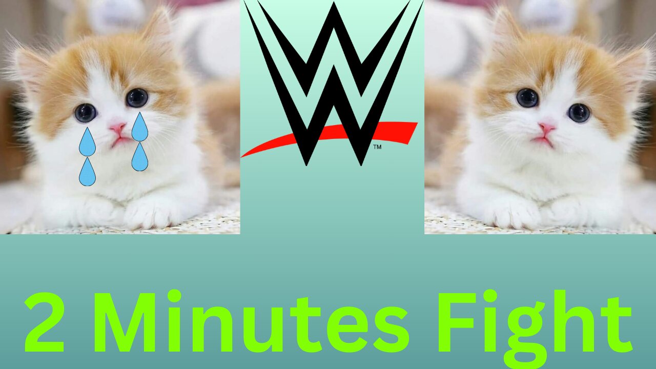 cute kittens fighting WWE in 2 Minutes