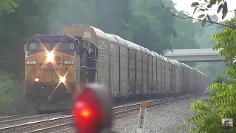 CSX and Wheeling & Lake Erie Trains from Westfield Rd. Creston, Ohio July 3, 2024 Part 2