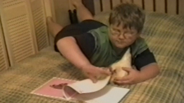 A Little Boy Reads About Chicken Reproduction To A Hen